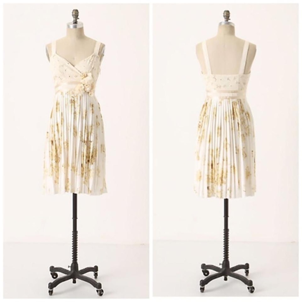 Anthro Deletta Tea and Sweets Floral Pleated Dress
